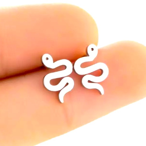 Jewelry - Stainless Steel  Snake 🐍 Stud Earrings